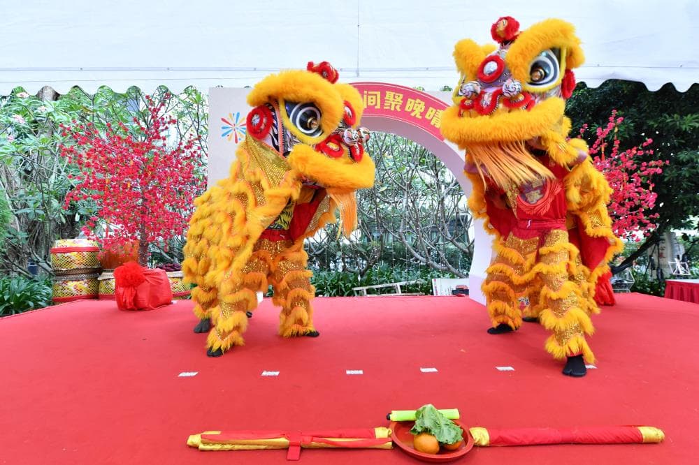 Lion dance performance was part of the Wan Qing Festival of Spring conducted at Sun Yan Sen Nanyang Memorial Hall in 2019.
