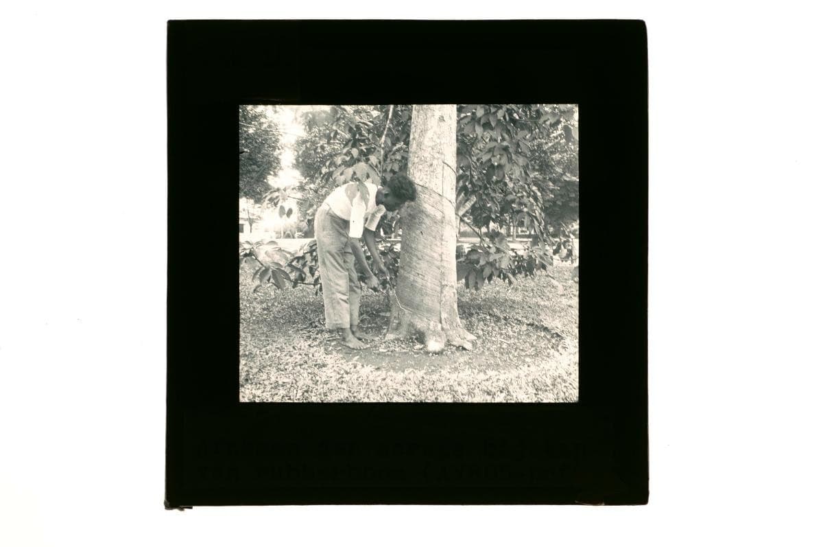 1219411