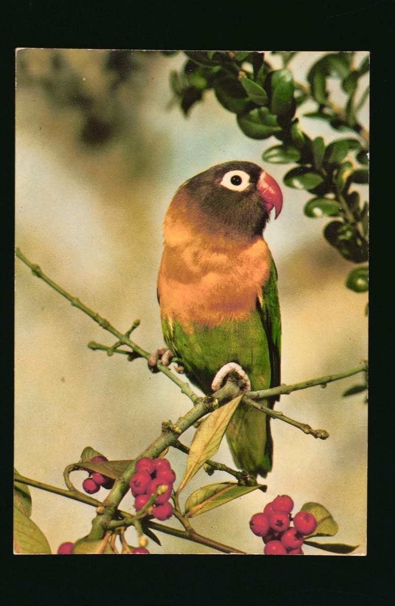 1080000