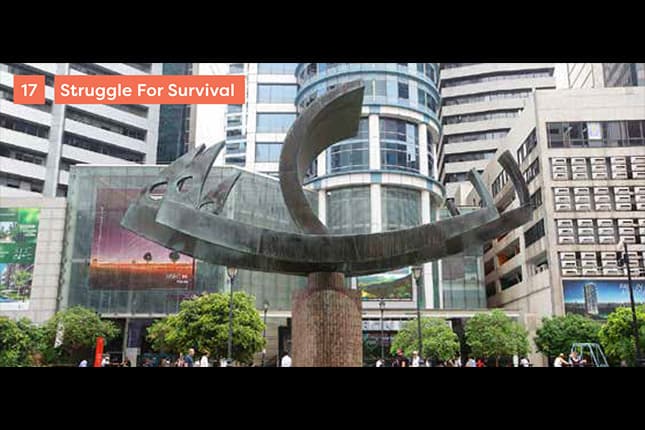 Struggle for Survival