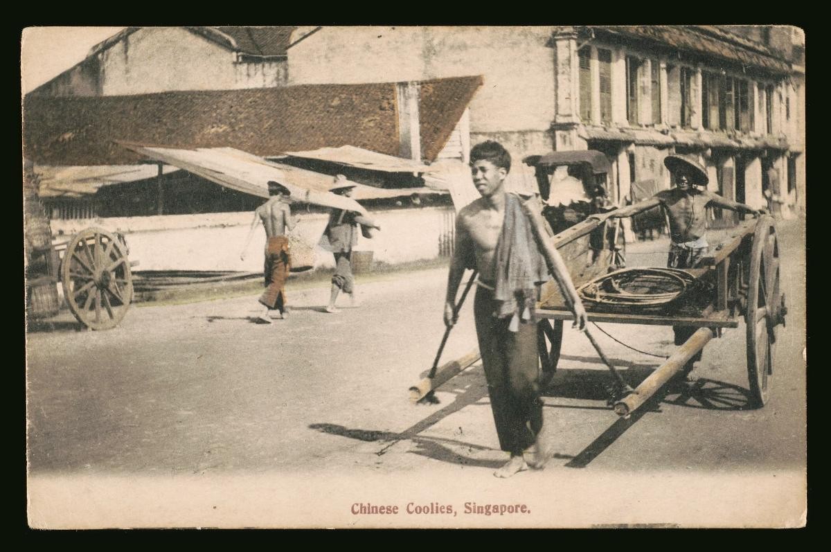 Chinese coolies