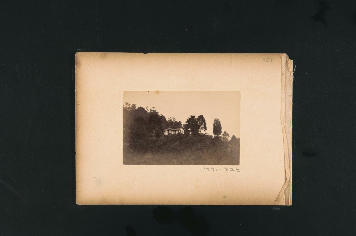 View of a house
