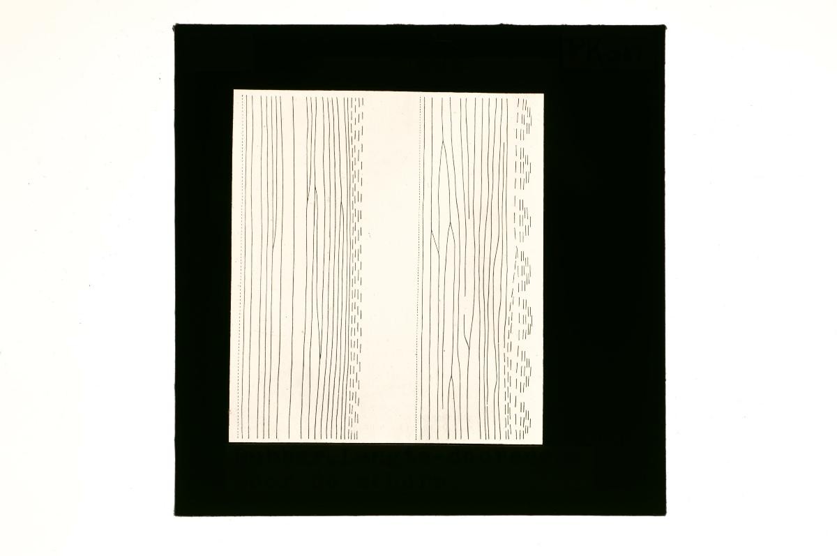 A glass lantern slide depicting a drawing of a stem cell