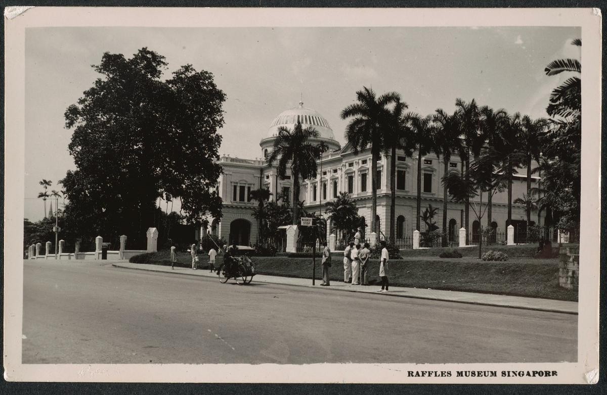 Raffles Museum (now the National Museum of Singapore)