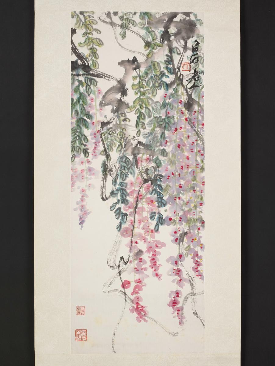 Wisteria