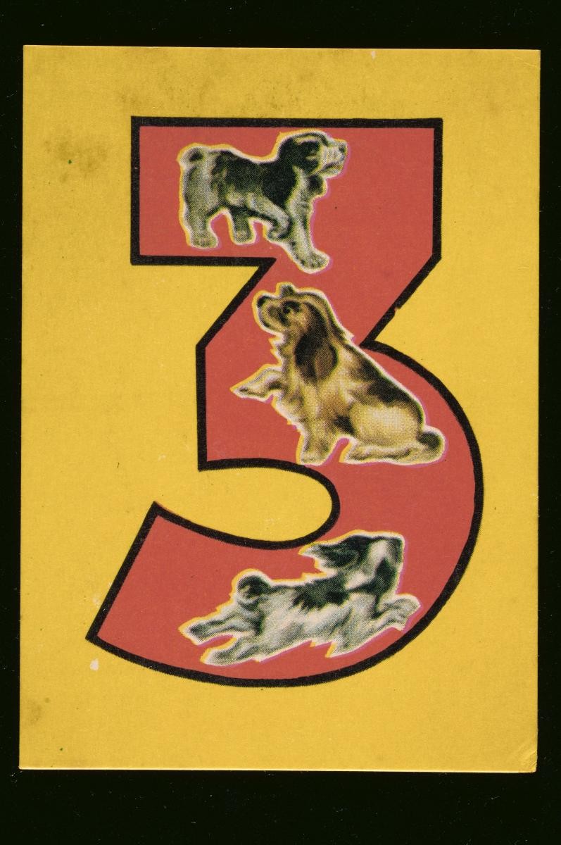 Number and picture card game for children