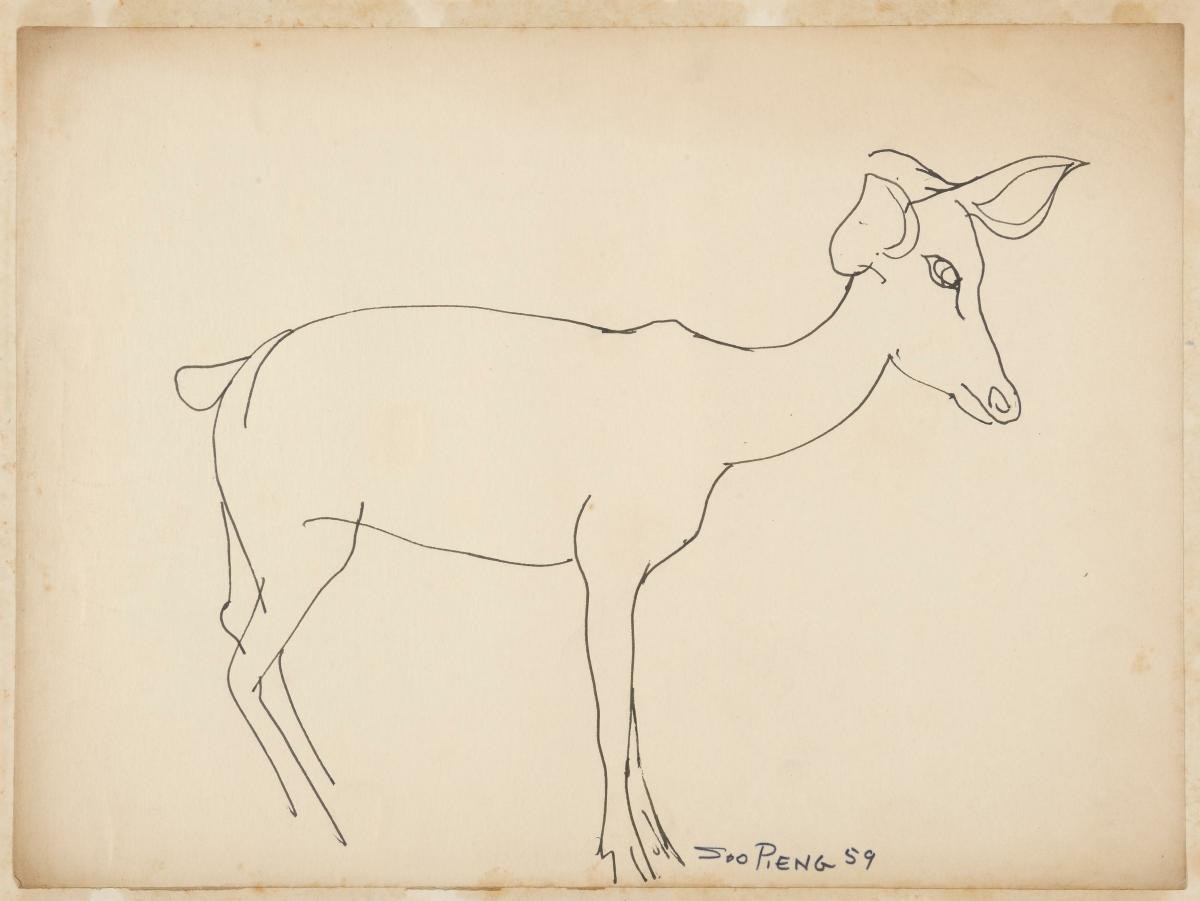 Untitled (Doe)