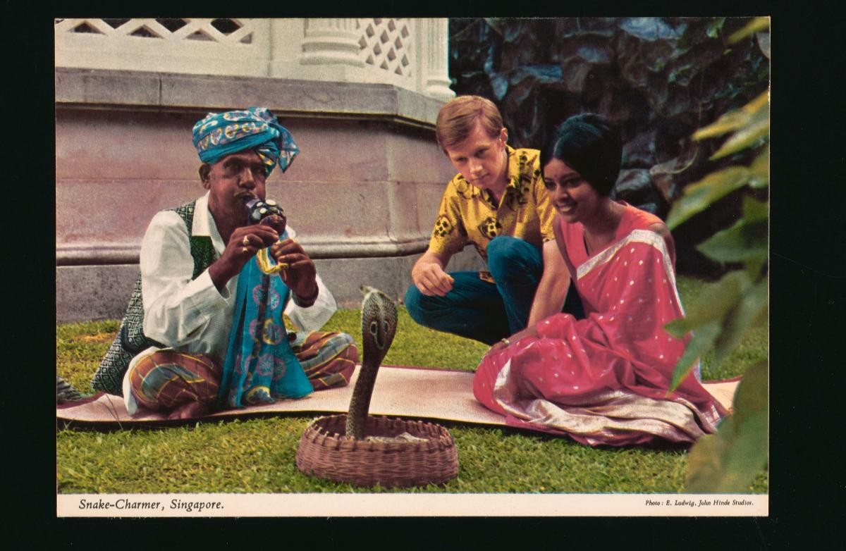 An Indian snake charmer
