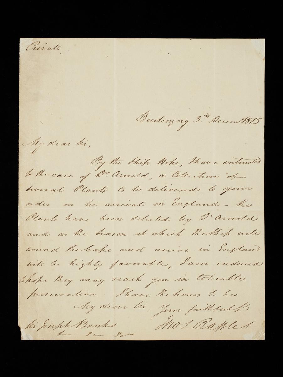Letter from Raffles to Sir Joseph Banks, Buitenzorg, Java
