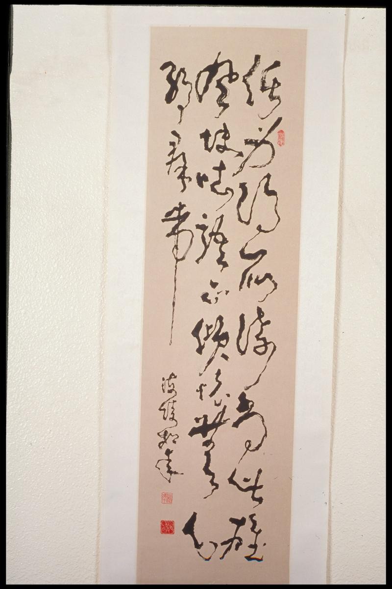 Calligraphy in Wild Cursive Script