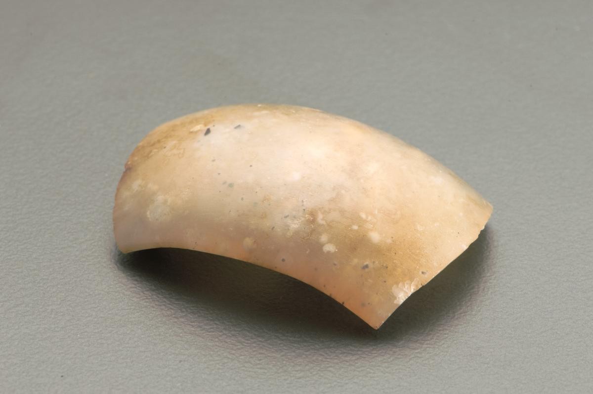 Hard stone bangle fragment