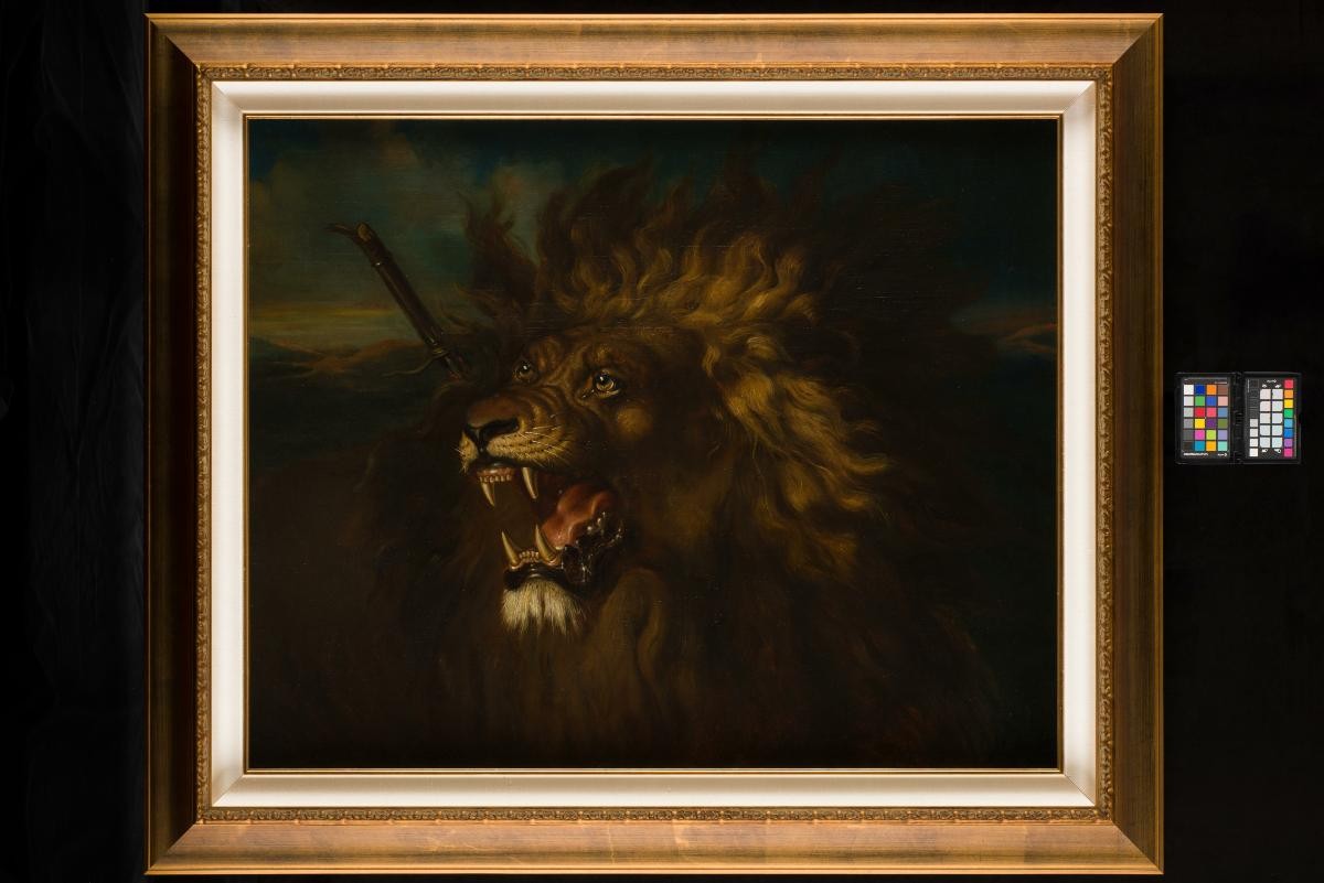 Wounded Lion