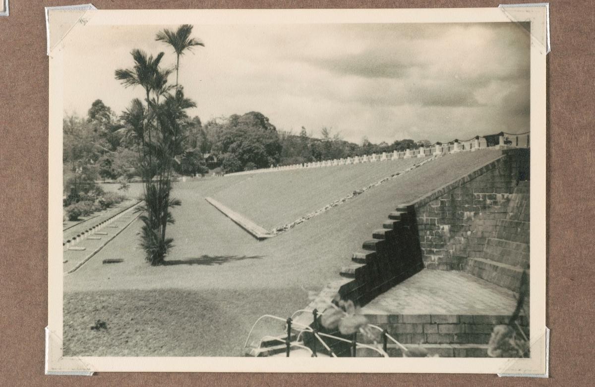 A scene from MacRitchie Reservoir