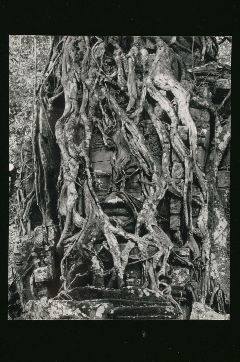A view of Angkor by Loke Wan Tho