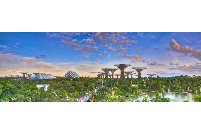 Gardens by the Bay - Jubilee Walk