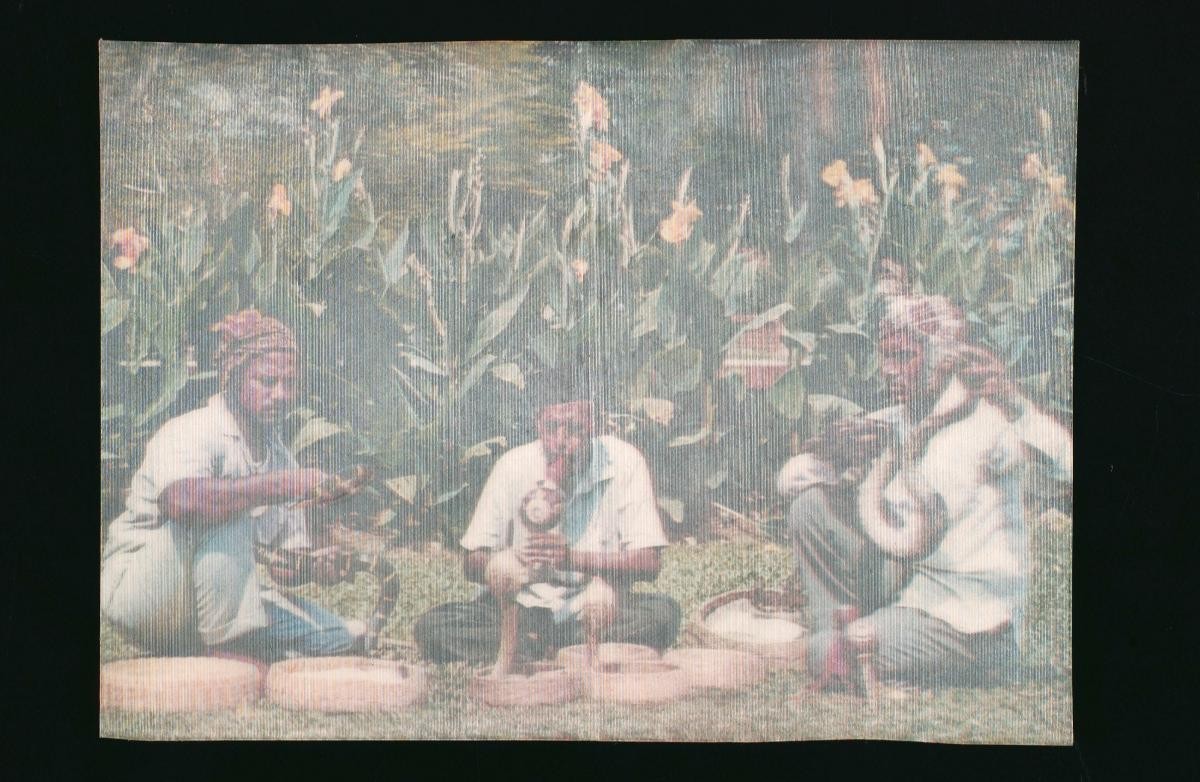 Snake charmers
