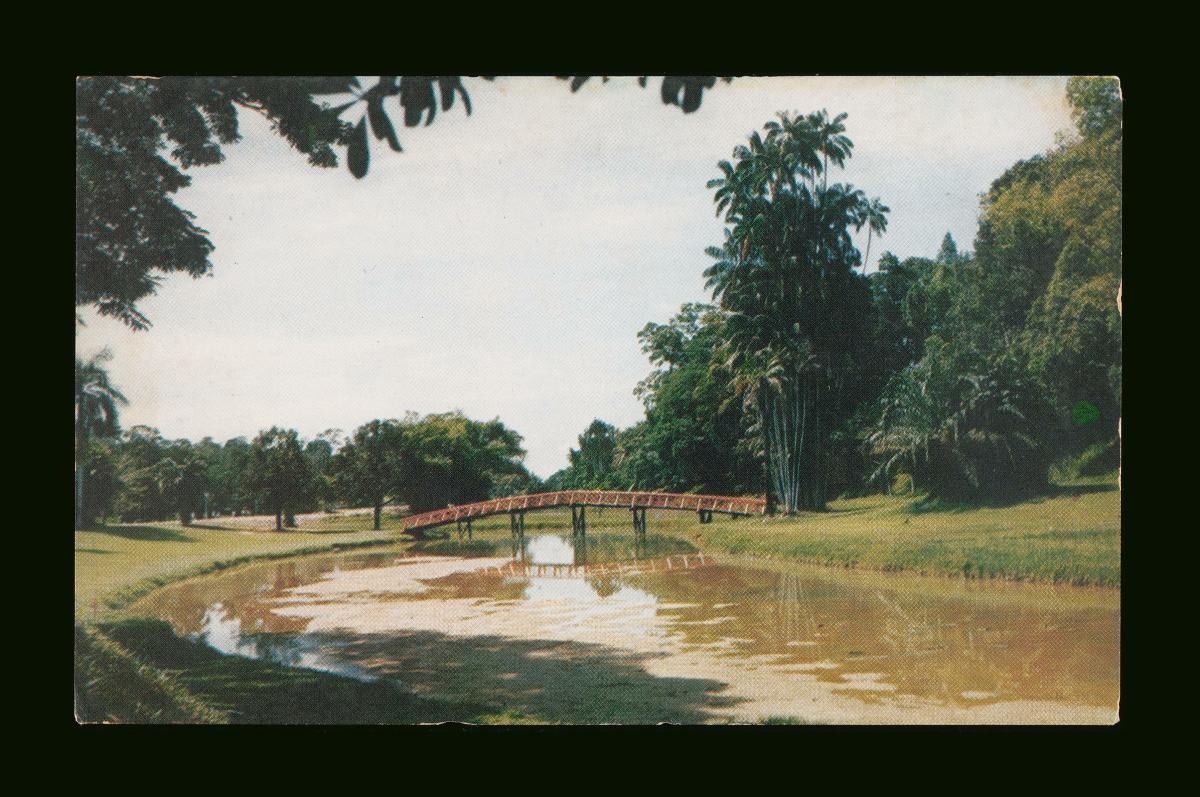 Lake Gardens
