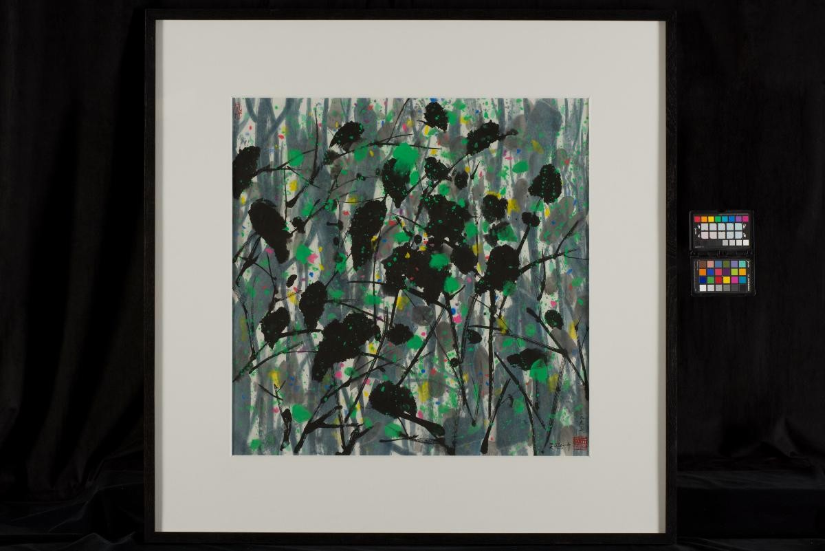 Birds in the Woods
