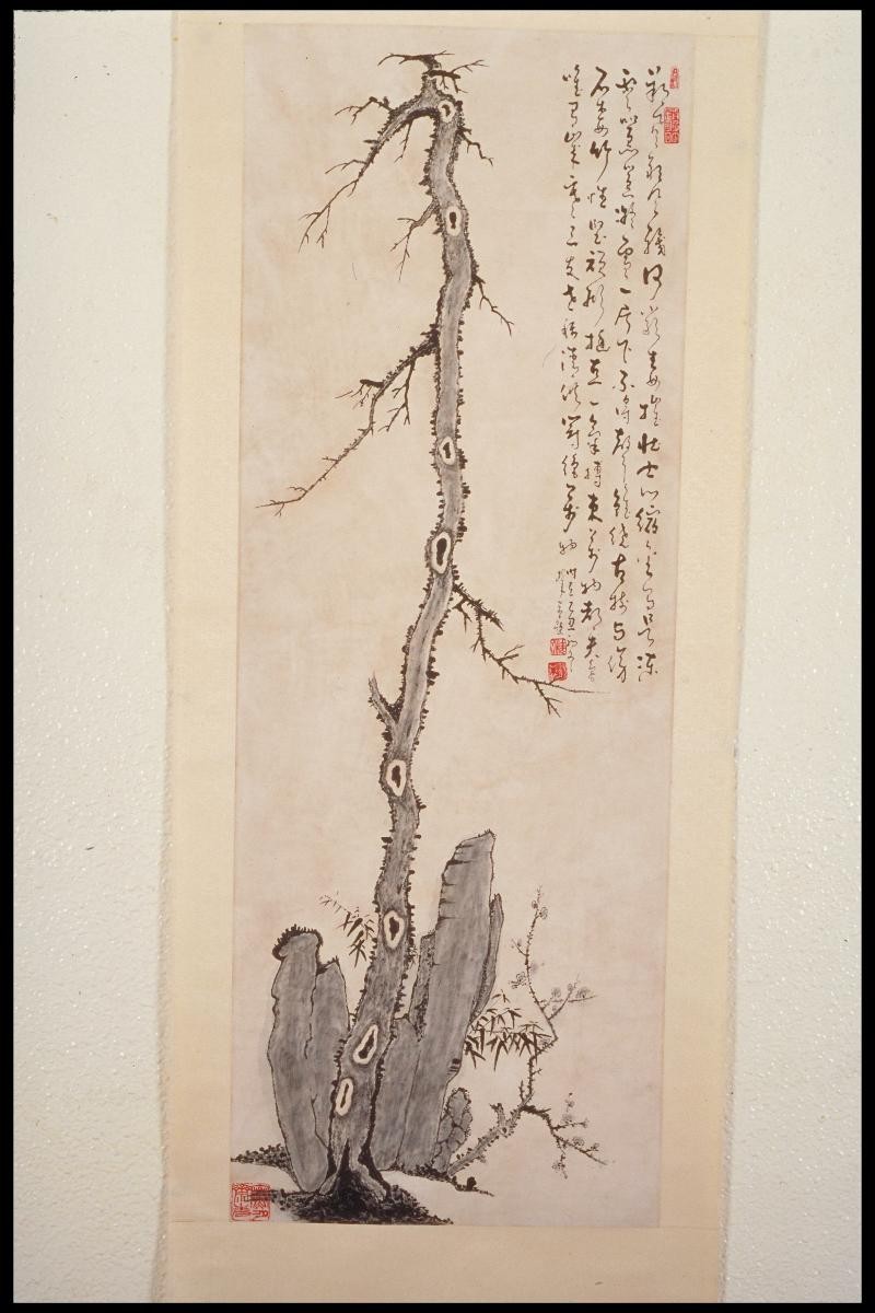 Shoots From An Old Tree