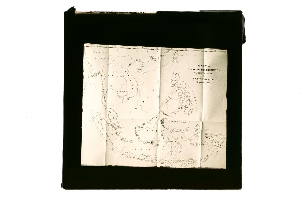 A glass lantern slide depicting the distribution of mangrove swamps in Southeast Asia