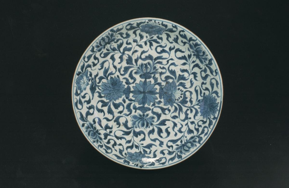 Dish