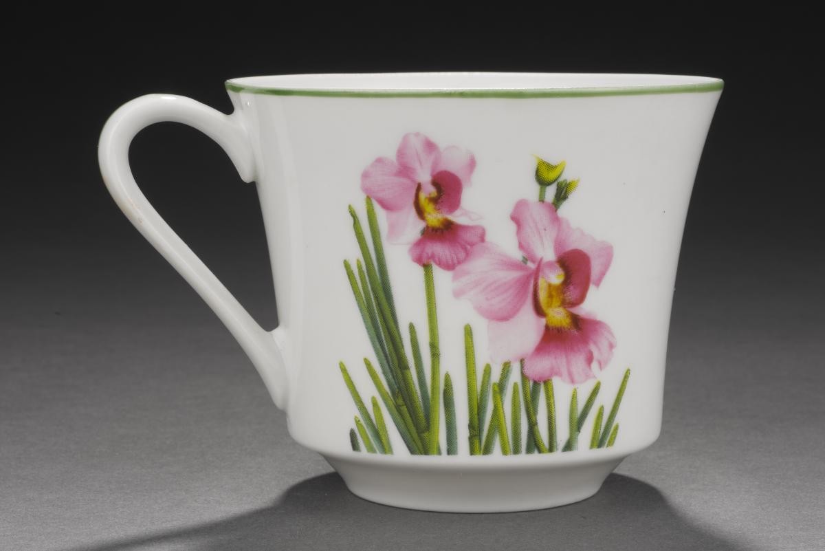 La Germania Vanda Miss Joaquim coffee cup