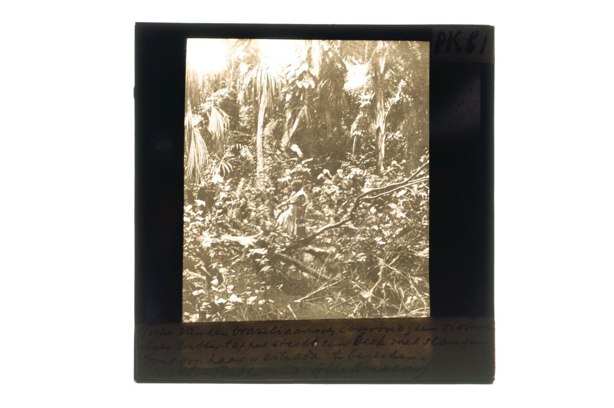 A glass lantern slide depicting a female agricultural worker
