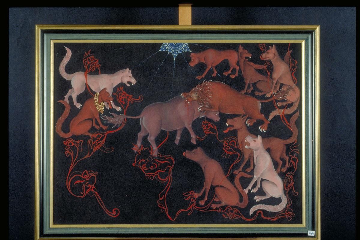 A Pack of Dogs, Watching a Lion Attacking a Bull