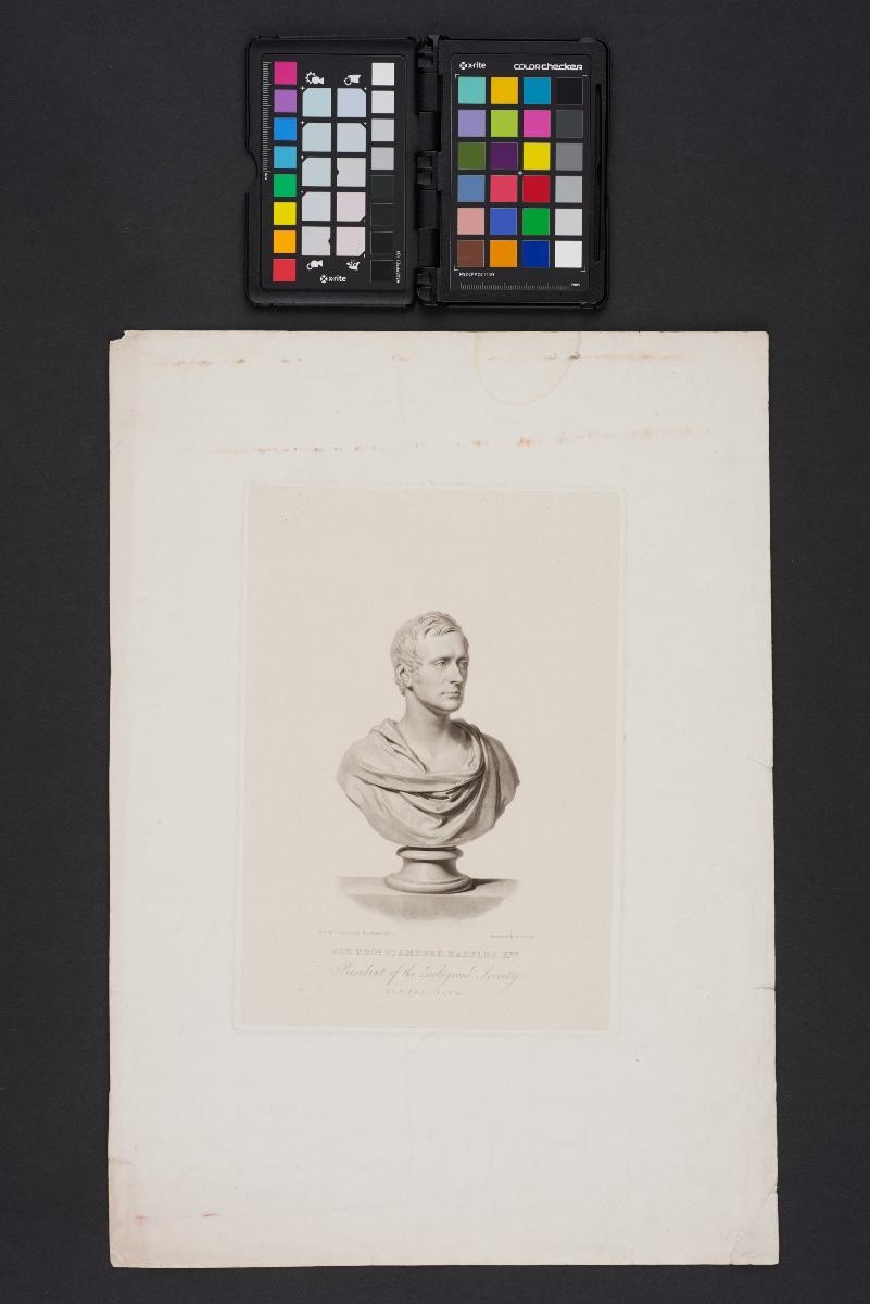 Print of the bust of Sir Stamford Raffles