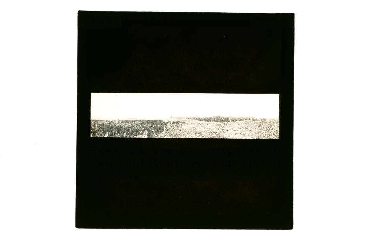 A glass lantern slide depicting a landscape scene