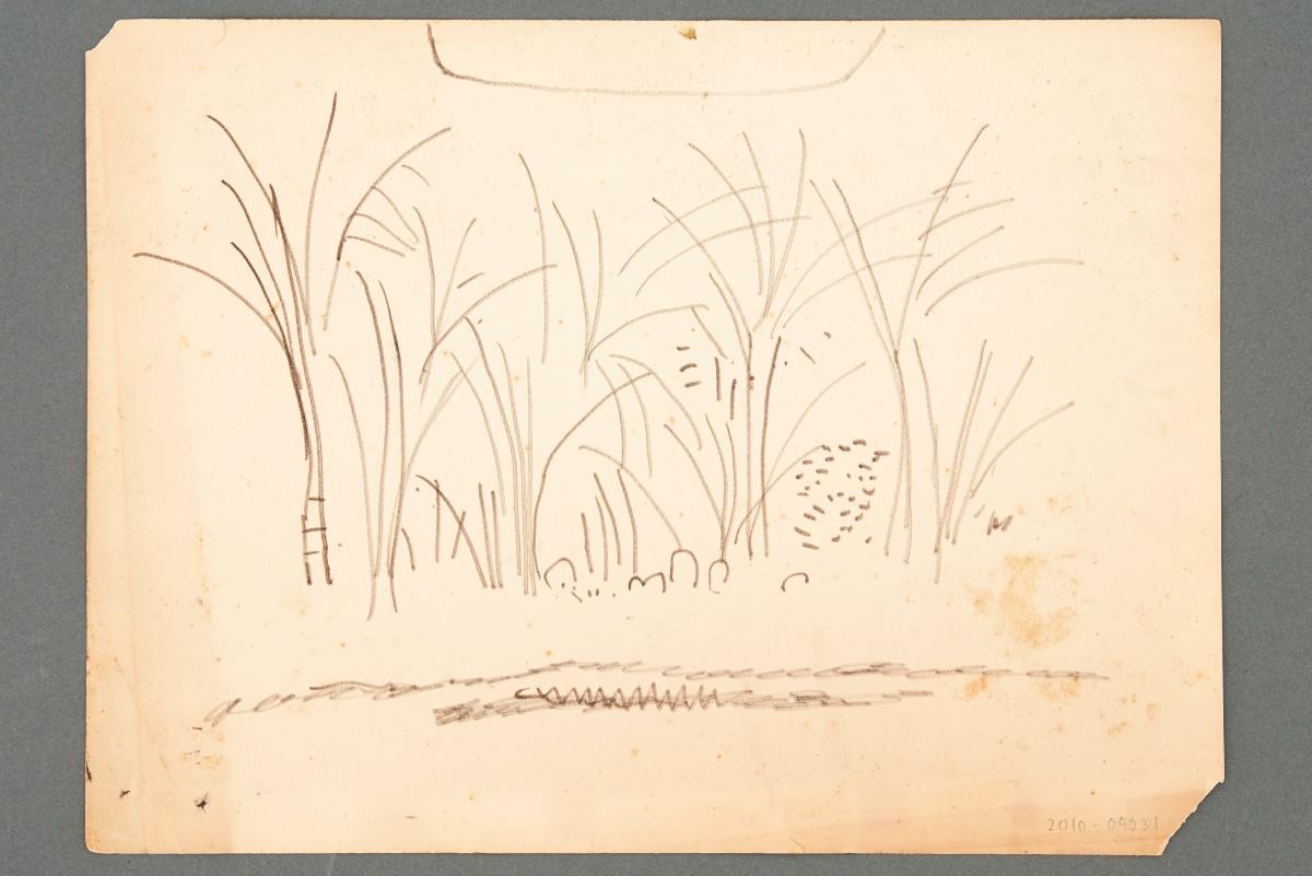 Untitled (Trees and Bushes)