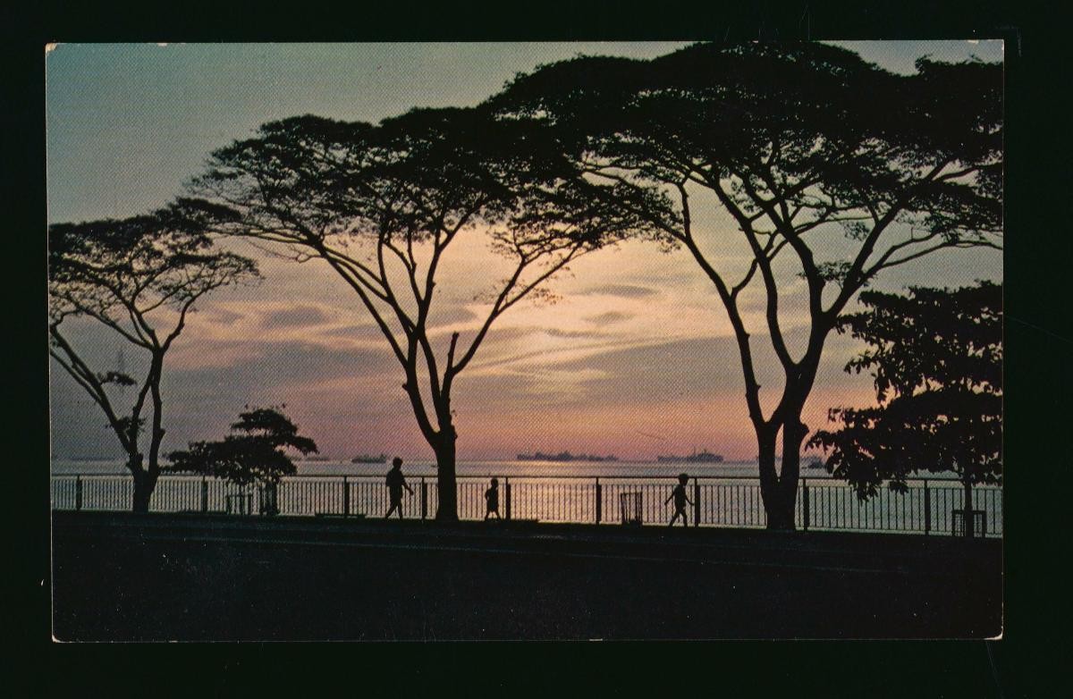 A sunset scene