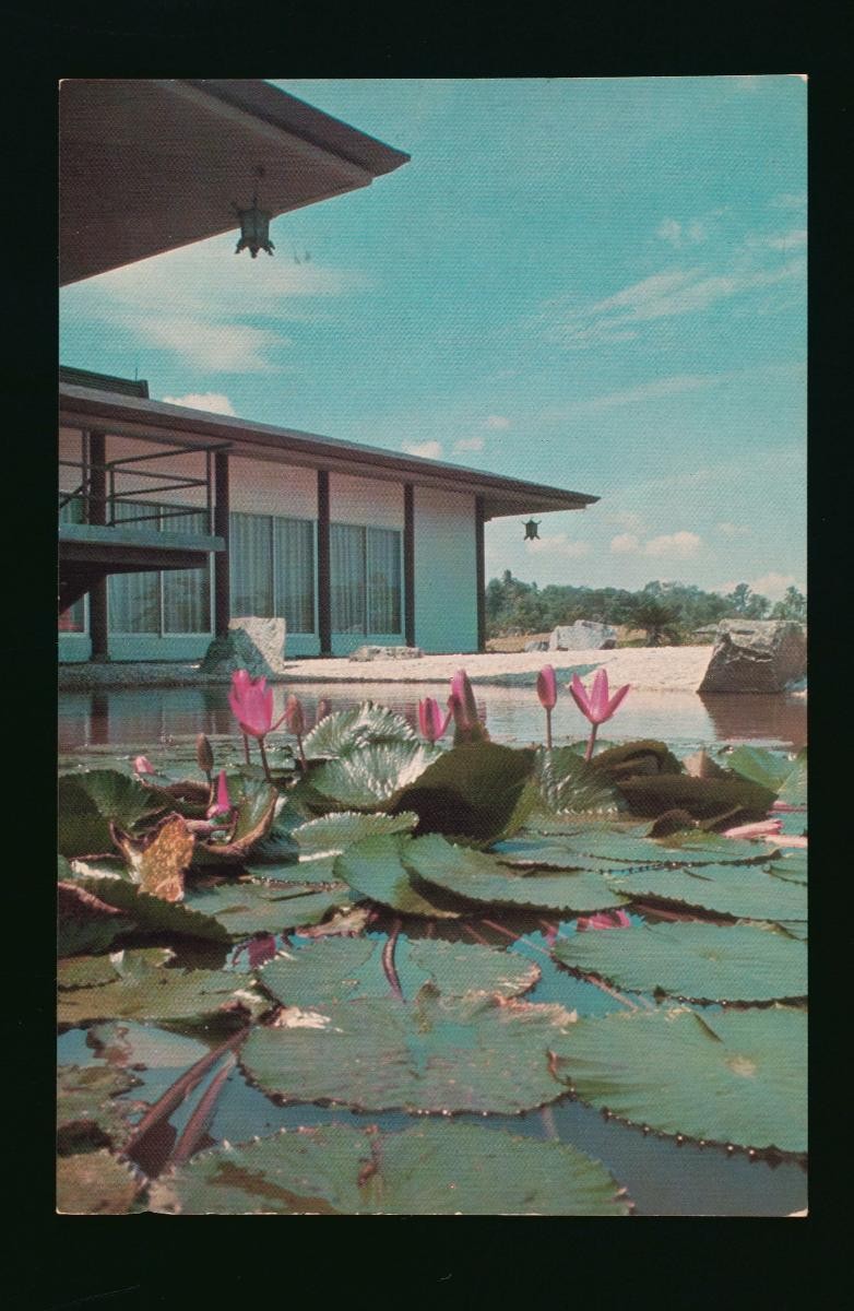 A water lily pond in the Seiwaen Japanese Garden at Jurong