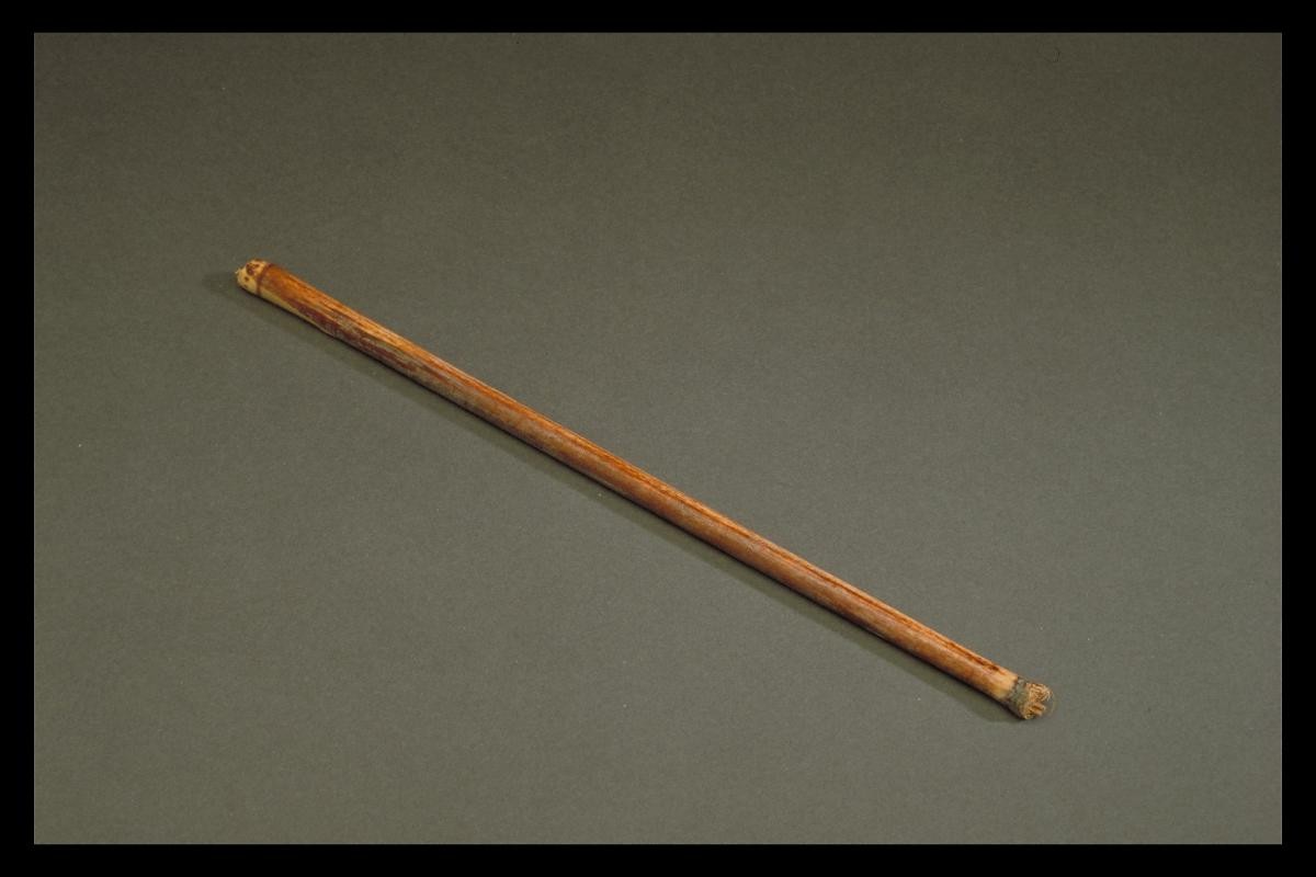 Uncut reed pen