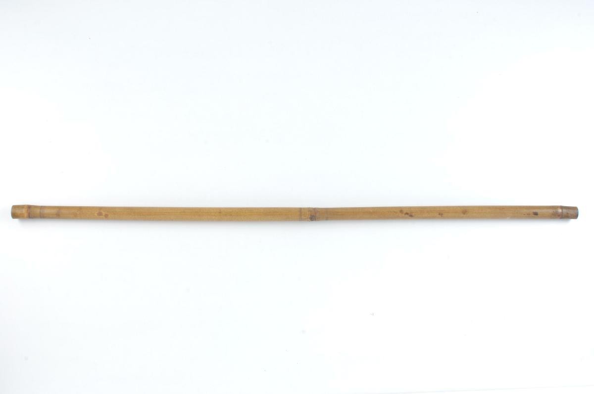Bamboo with inscriptions