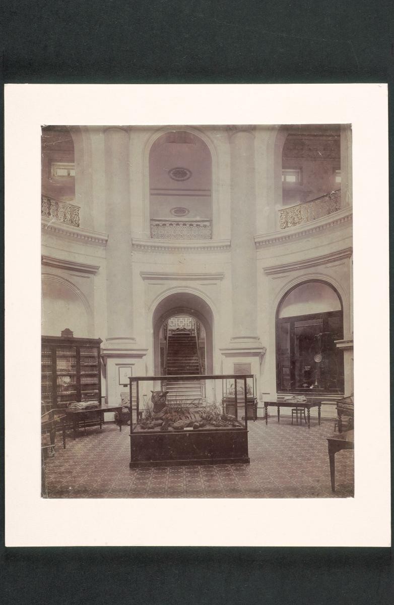 The entrance hall of the Raffles Library and Museum