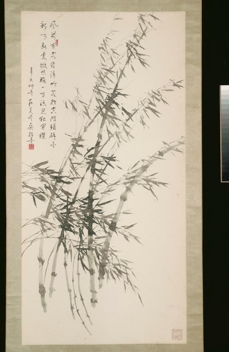 Bamboo In A Breeze