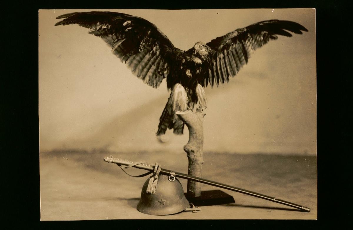 Eagle