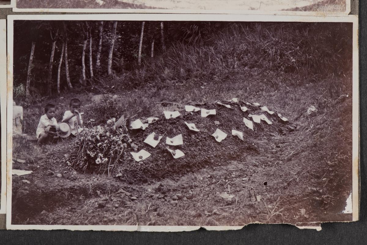 129 photographs from an album (B3955)