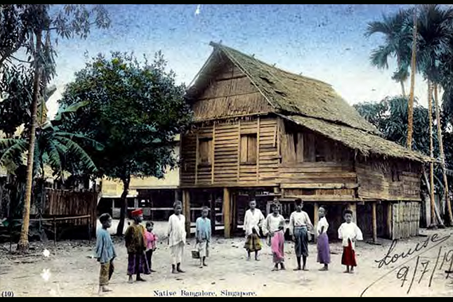 The Village View