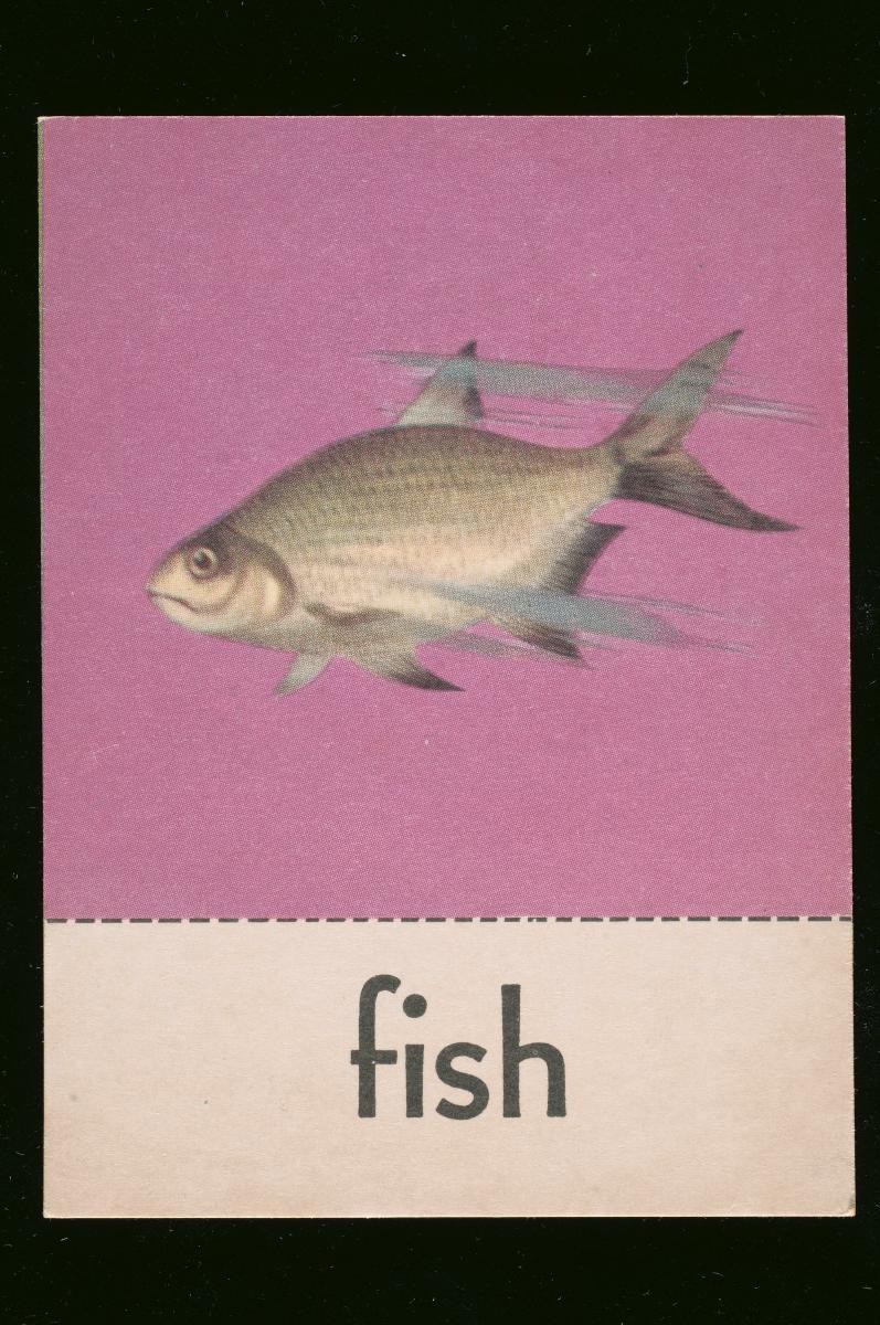 English vocabulary picture cards for children