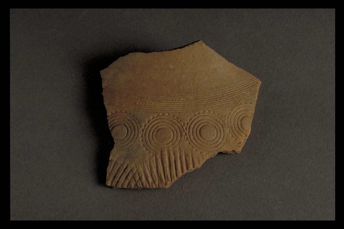 Sherd