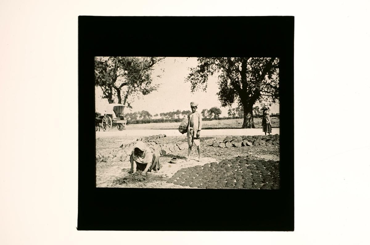 A glass lantern slide depicting two agricultural workers