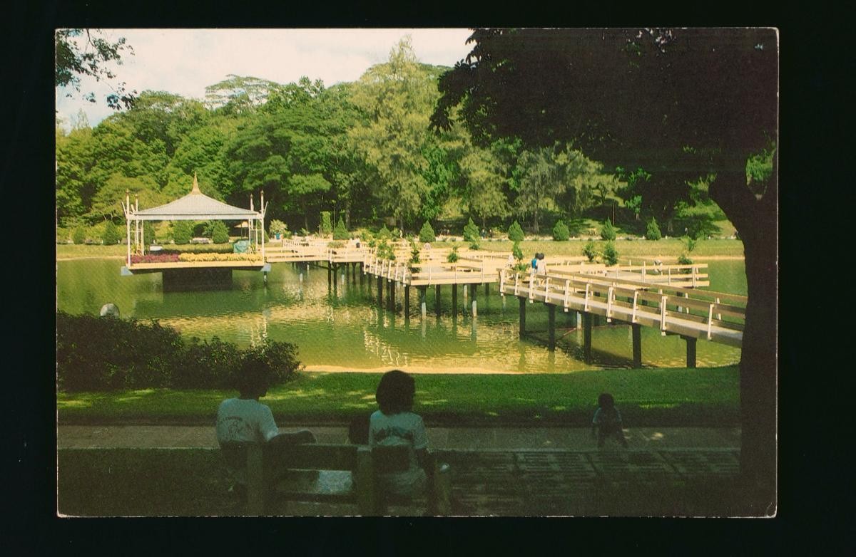 The bandstand at MacRitchie Reservoir