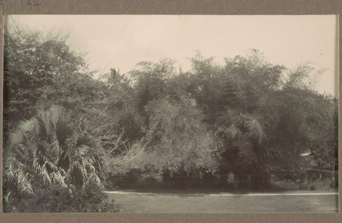 View from The Residency in Penang