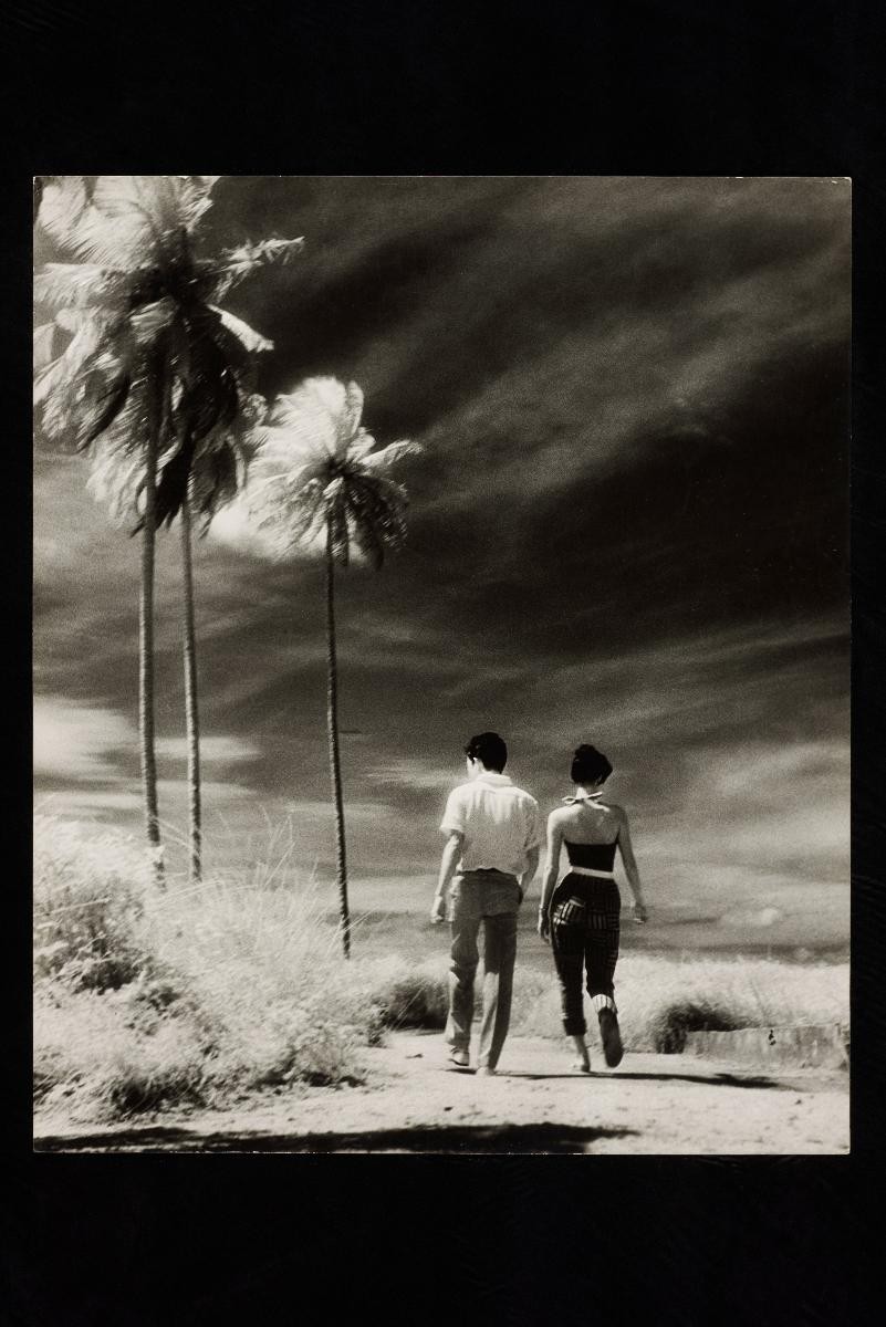 Tropical Love