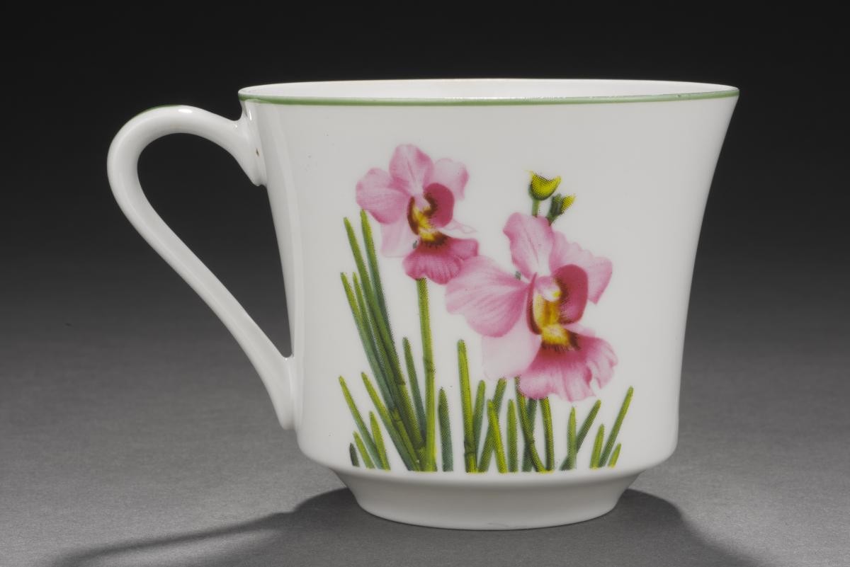 La Germania Vanda Miss Joaquim coffee cup