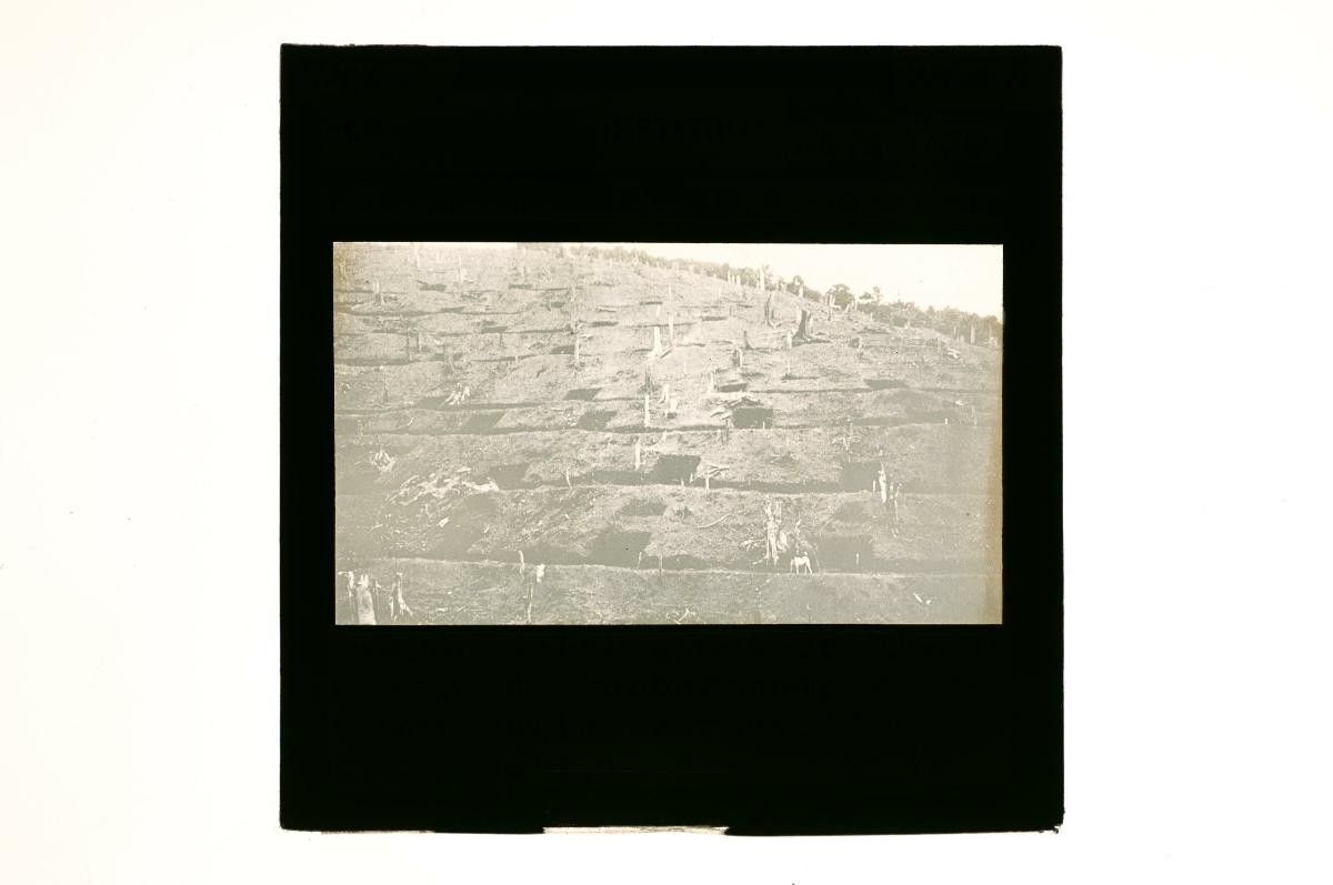A glass lantern slide depicting a landscape scene