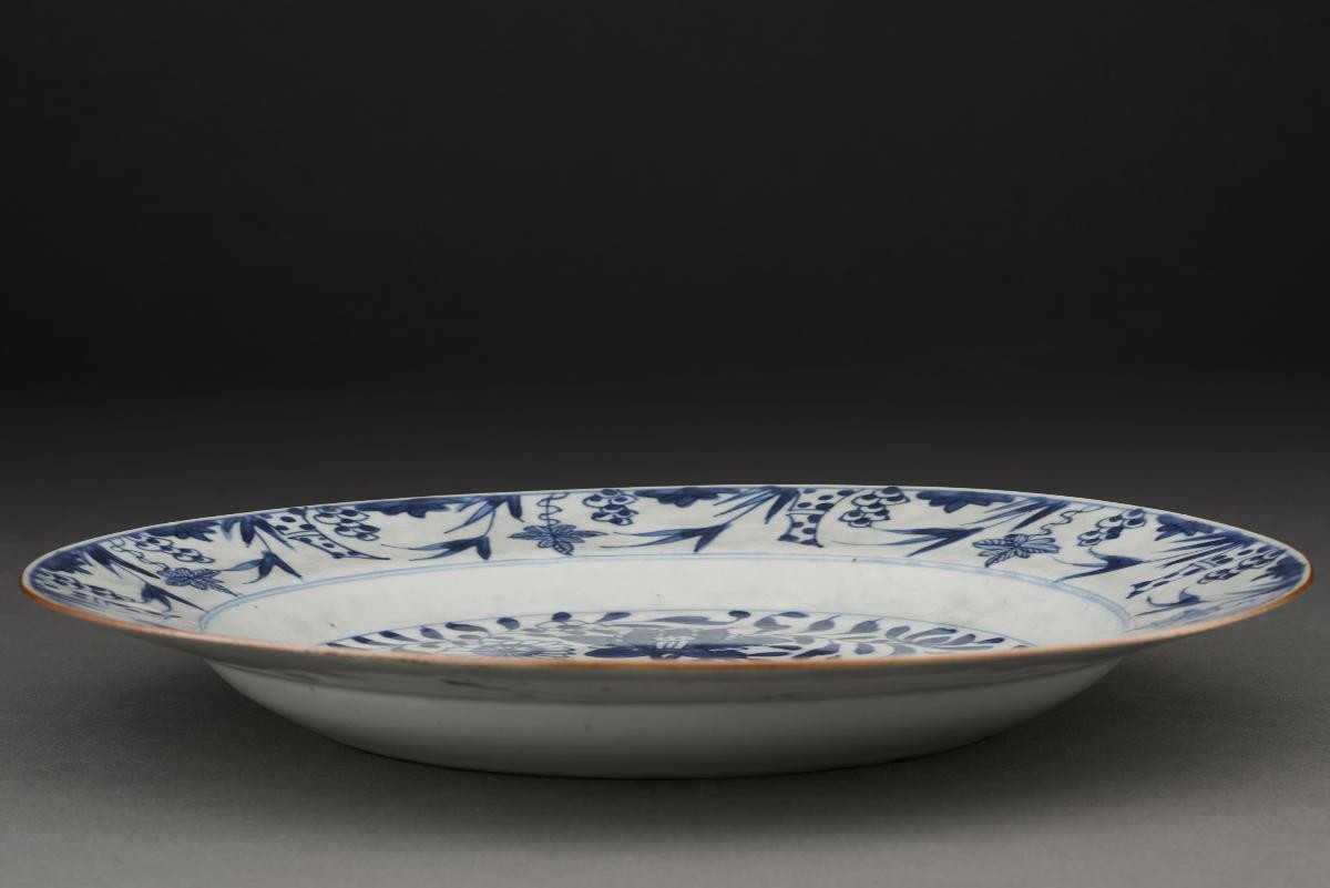 Dish