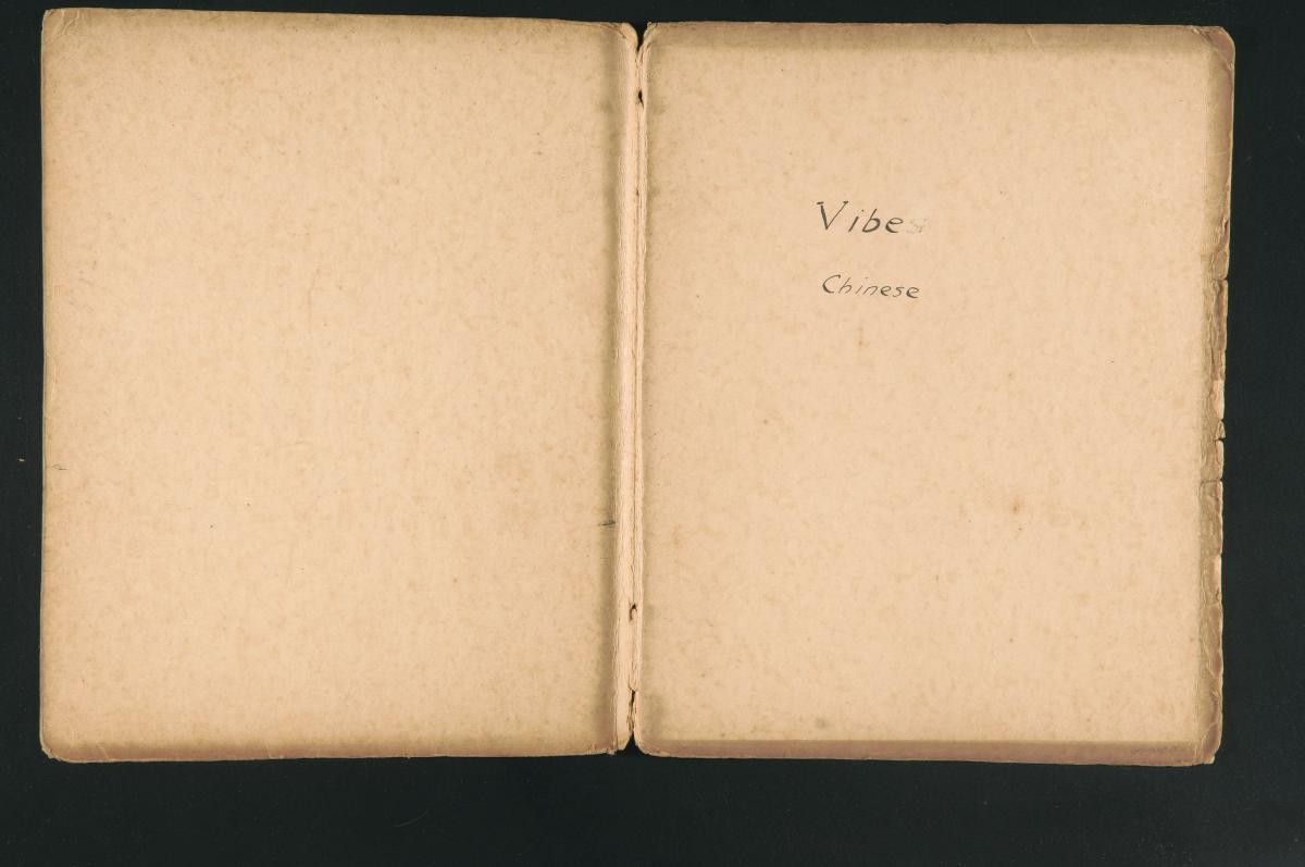 File entitled ‘Vibes’ (Chinese)